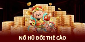 Pháo Hoa Wild